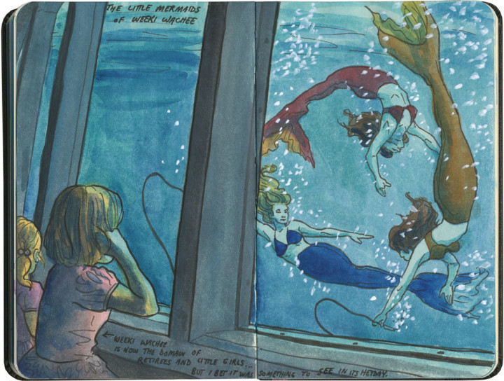 Weeki Wachee mermaids sketch by Chandler O'Leary