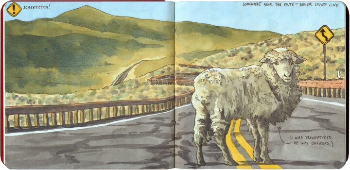 Sheep on Utah highway sketch by Chandler O'Leary