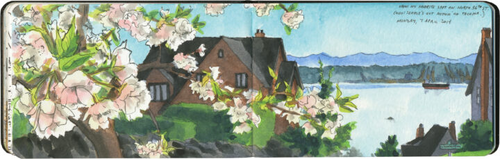 watercolor, tacoma, cherry blossoms