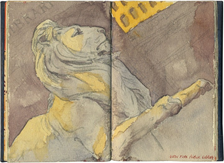 NY Public Library lion sketch by Chandler O'Leary