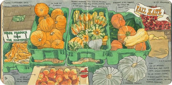 Winter vegetables sketch by Chandler O'Leary