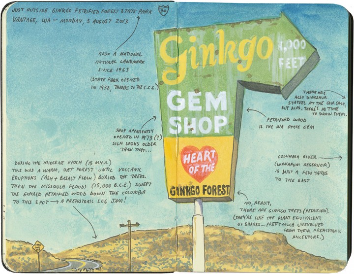 Ginkgo Gem Shop sign sketch by Chandler O'Leary