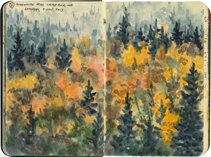 Fall foliage sketch by Chandler O'Leary