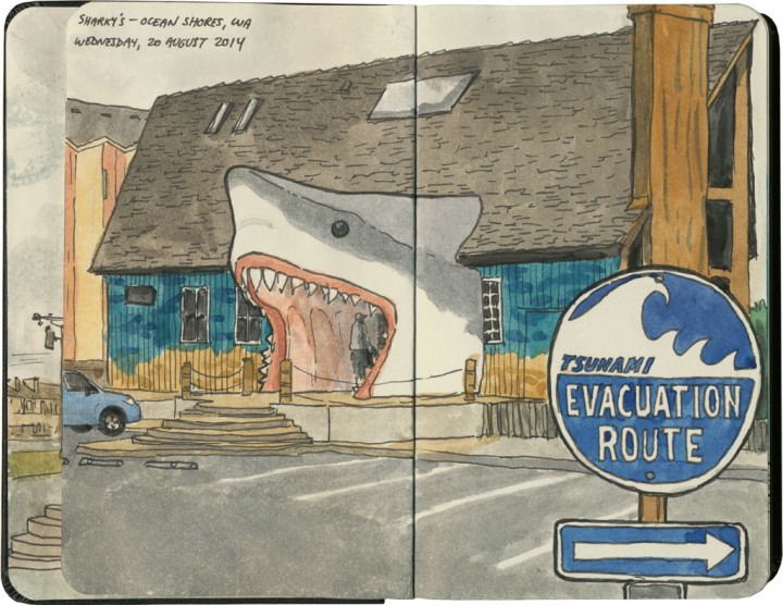 Sharky's Souvenir Shop sketch by Chandler O'Leary
