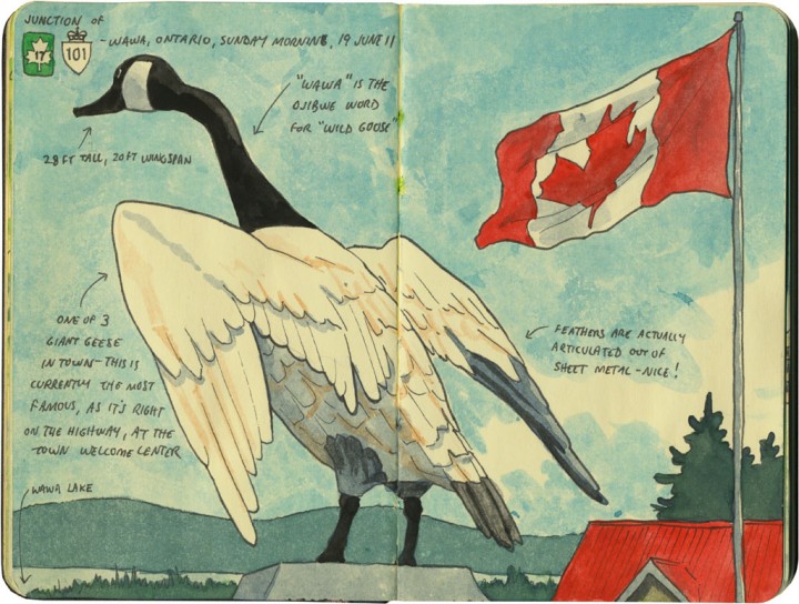 Wawa Goose sketch by Chandler O'Leary