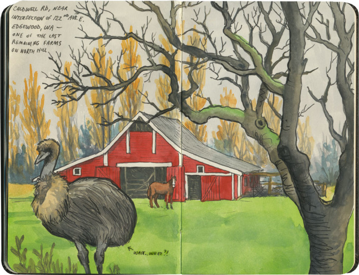 Farm sketch by Chandler O'Leary