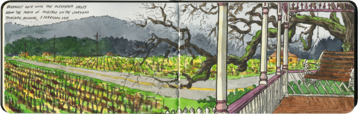 Alexander Valley sketch by Chandler O'Leary