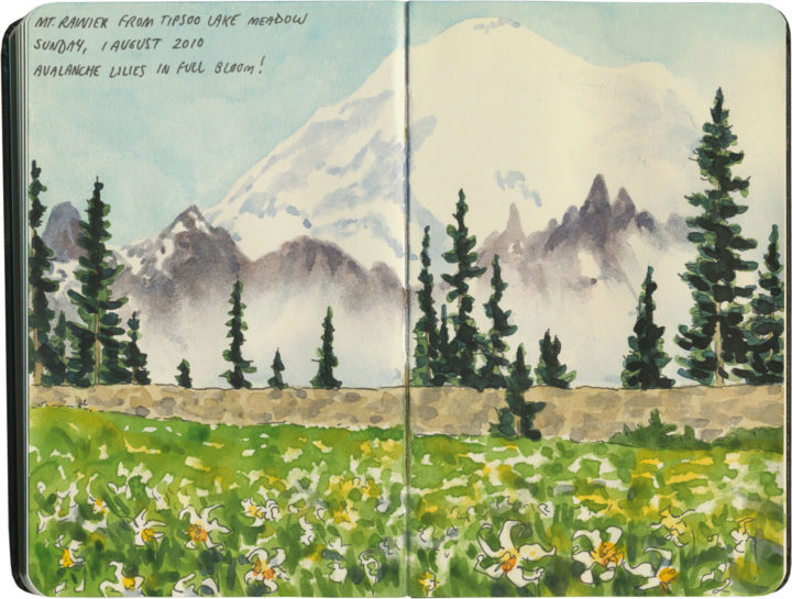 Mt. Rainier National Park sketch by Chandler O'Leary