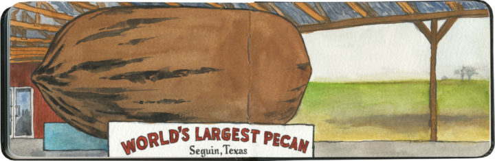 World's largest pecan sketch by Chandler O'Leary