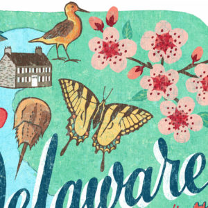 Detail of Delaware illustration by Chandler O'Leary