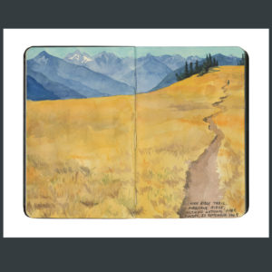 Olympic National Park sketchbook print by Chandler O'Leary
