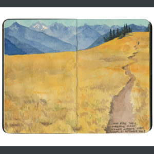 Olympic National Park sketchbook print by Chandler O'Leary