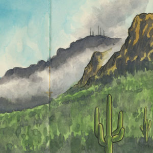 Saguaro National Park sketchbook print by Chandler O'Leary