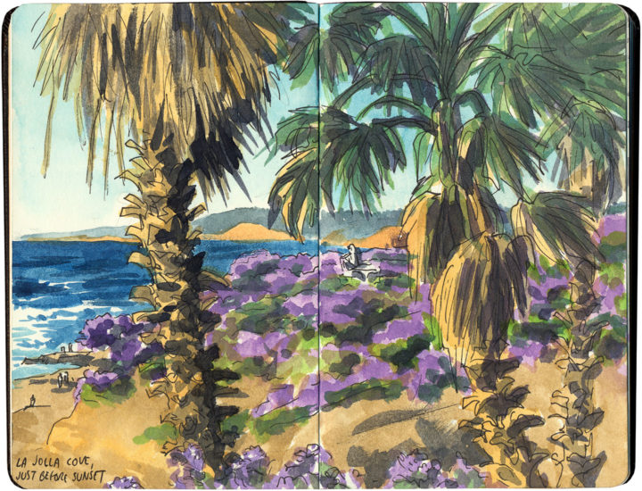 La Jolla Cove palm trees sketch by Chandler O'Leary