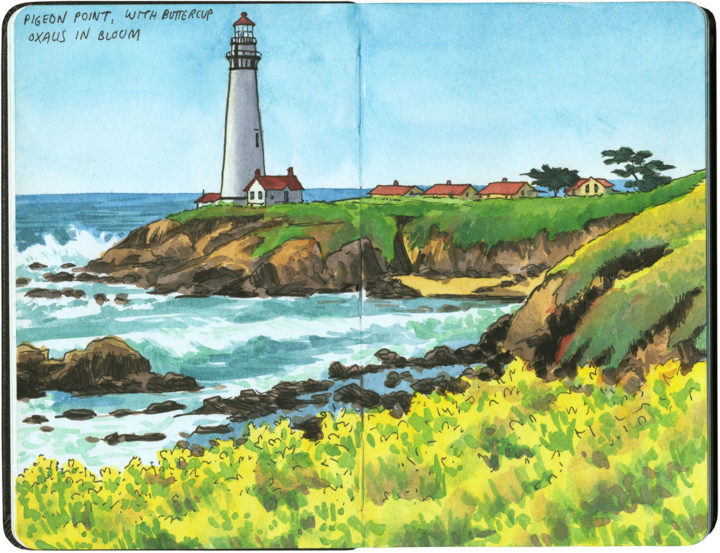 Pigeon Point Lighthouse sketch by Chandler O'Leary